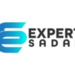 Expert Sadar Profile Picture