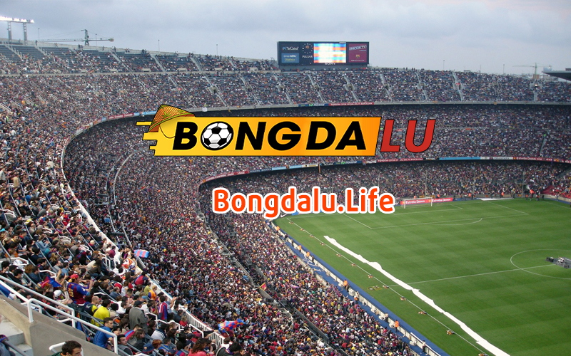 Bongdalu – Trang web xem tỷ số trực tuyến, tỷ lệ kèo uy tín