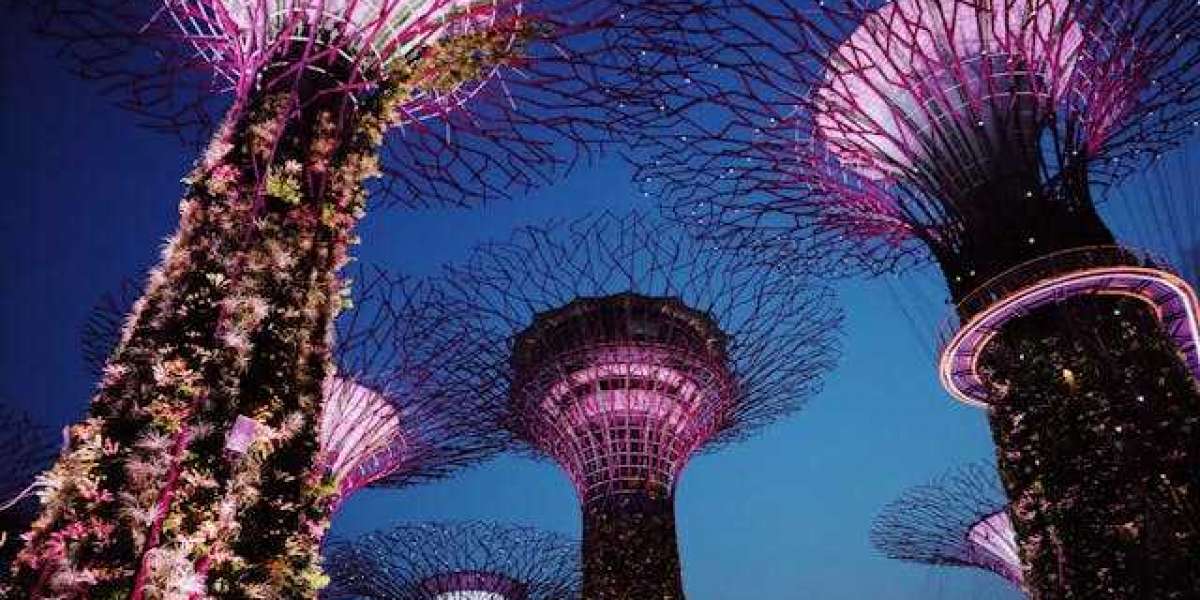 Experience Enchantment at Gardens by the Bay: A Highlight of Singapore Tour Packages from Kerala
