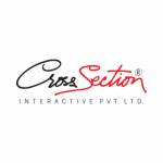 Cross Section Interactiv Profile Picture