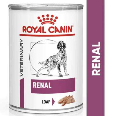 Royal Cani Profile Picture