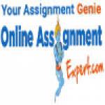 online assignment expert expert Profile Picture