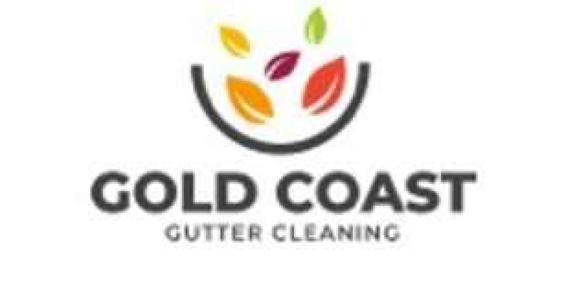 Enhancing Urban Well-Being: The Vital Role of Gutter Cleaners Gold Coast