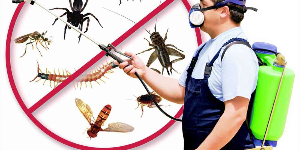 Rodent Control Pesticides Market Size, Share, Demand & Growth by 2032