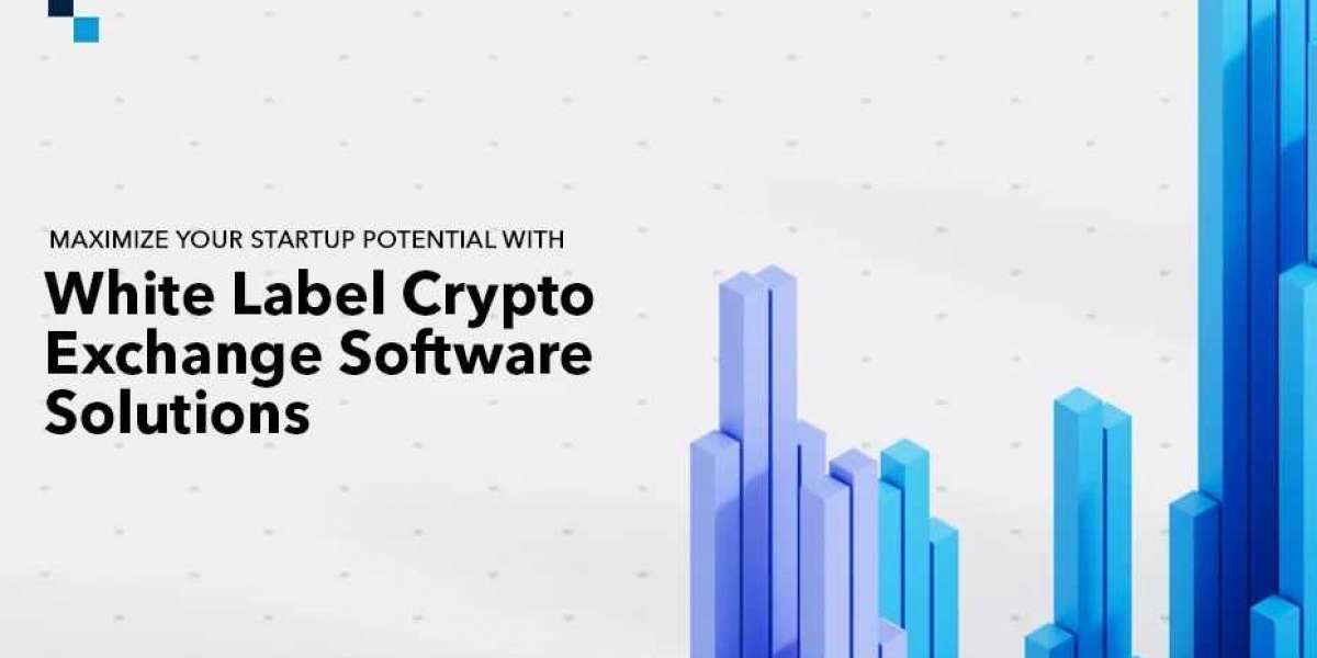 Unleashing The Power of White Label Crypto Exchange Software for startups