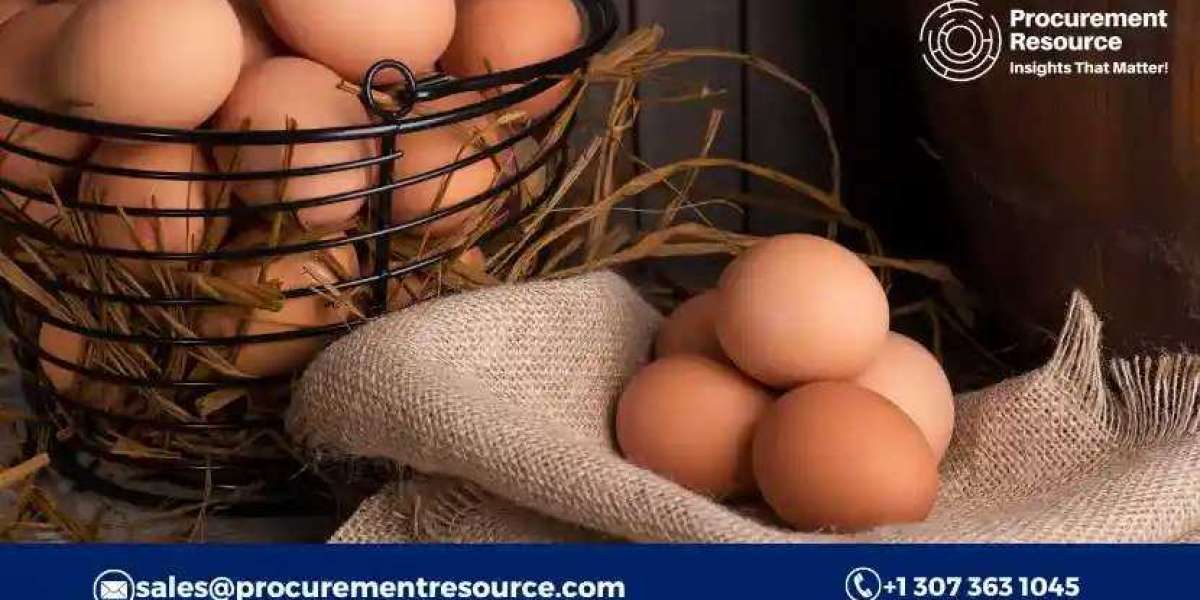 Egg-cellent Economics: Exploring Prices, Forecast, Historical Chart, and Trend