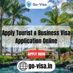 Ebusiness Visa Profile Picture