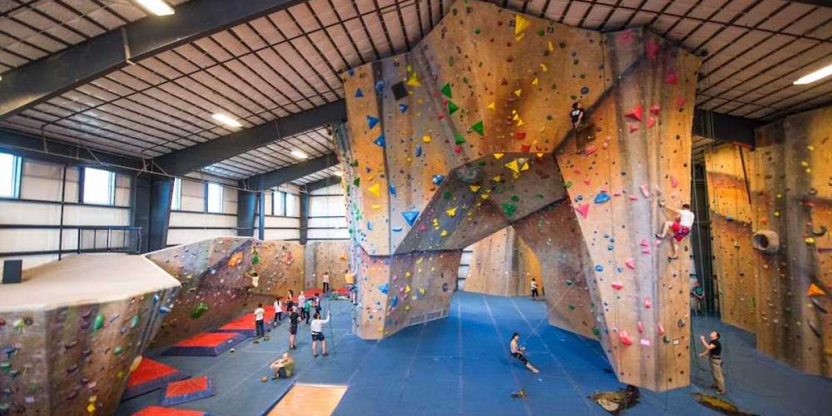 Climb Safe, Climb Strong: Strategies Shaping Europe's Gym Market Recovery