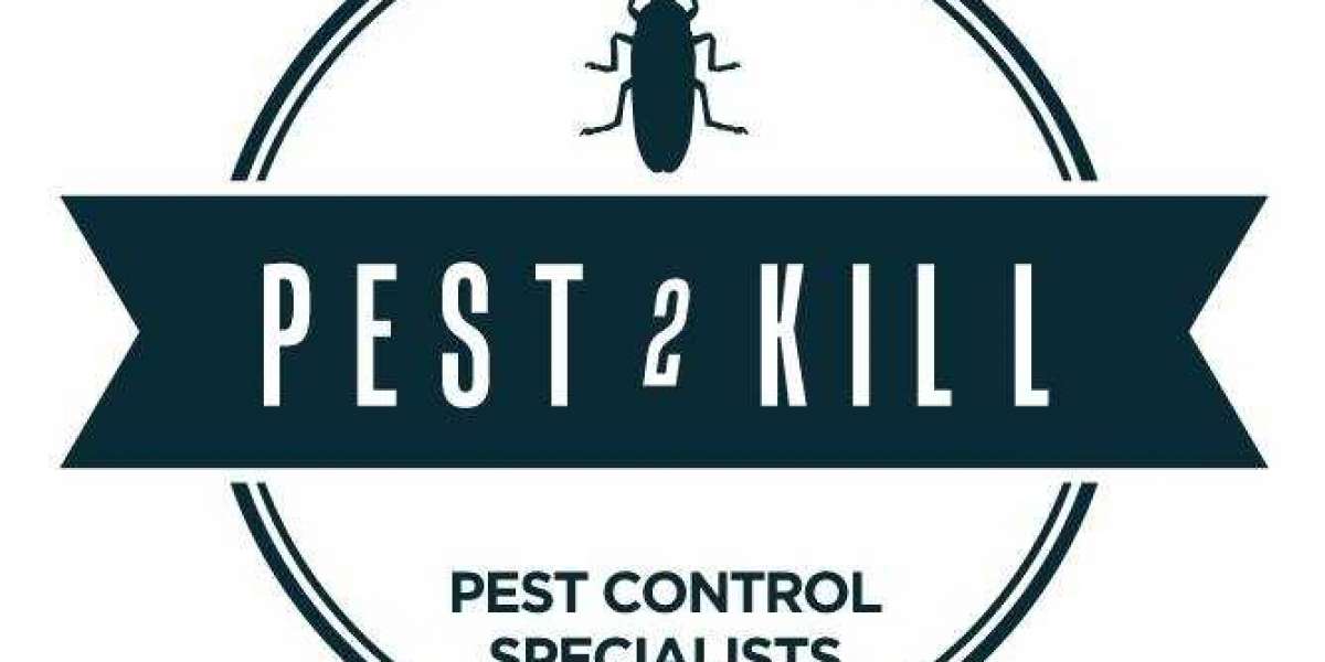 All Pest: Your Trusted Partner in Pest Control Solutions