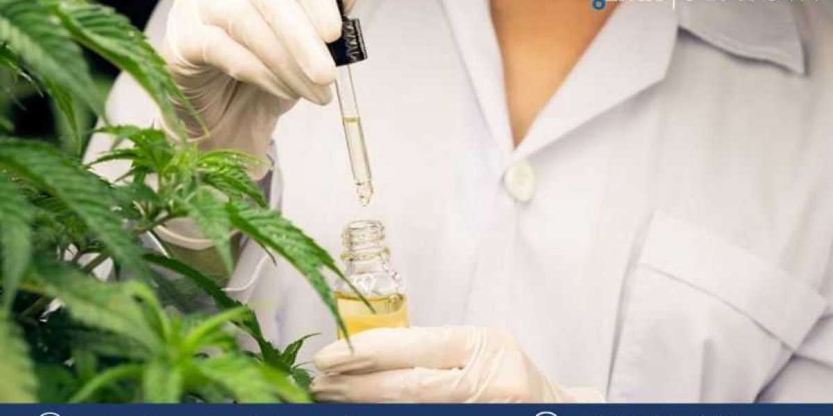 Cannabis Testing Services Market Trends, Size, Share, Growth, Report 2024-2032