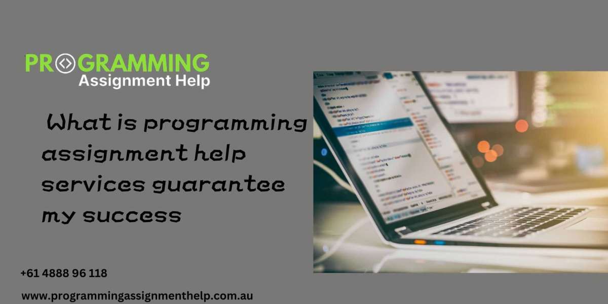 What is programming assignment help services guarantee my success