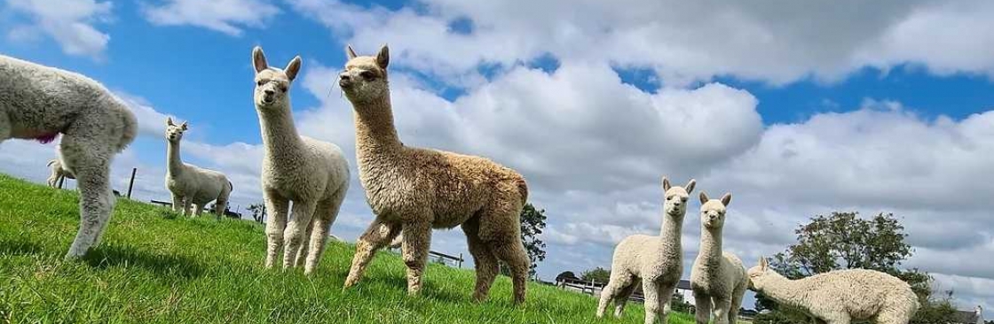 Mourne Alpacas Cover Image