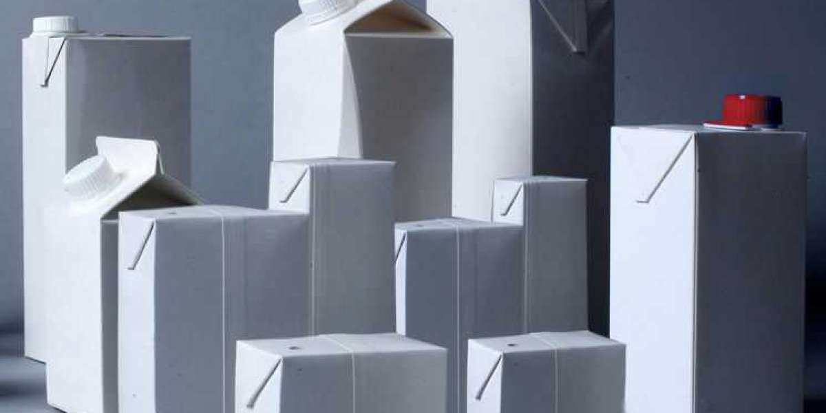 Liquid Packaging Carton Market Segment Strategies and Growth Forecasts by 2031