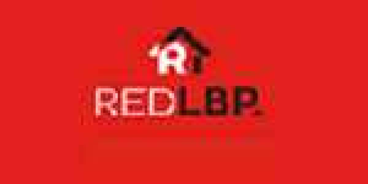Red LBP Building Inspections NZ: Pioneering Healthy Home Inspection Services