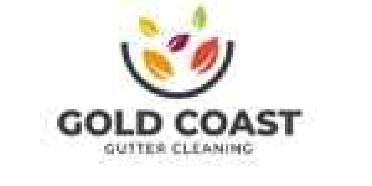 Gold Coast Gutter Cleaning: Your Premier Choice for Residential and Commercial Services