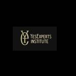 YesExperts Institute Profile Picture