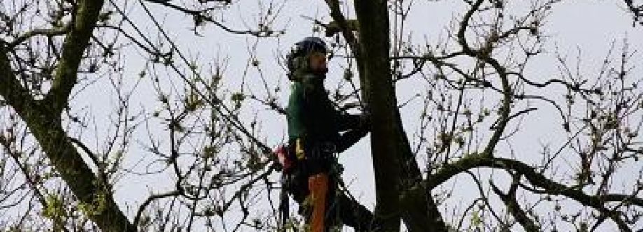 Elevated Tree Care Cover Image