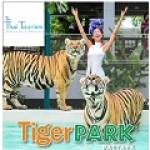Tiger Park Pattaya Profile Picture