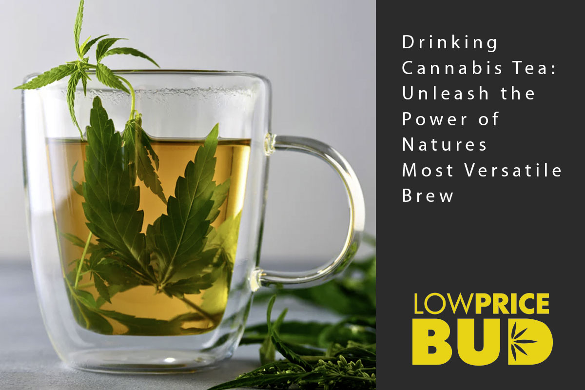 Drinking Cannabis Tea: Unleash the Power of Nature's Most Versatile Brew - Low Price Bud