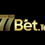 77BET Casino Profile Picture