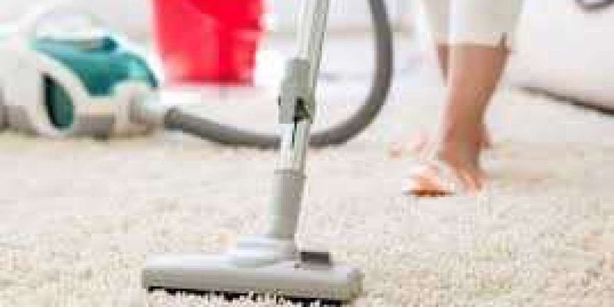 Why Professional Carpet Cleaning Is Important for Home Wellness