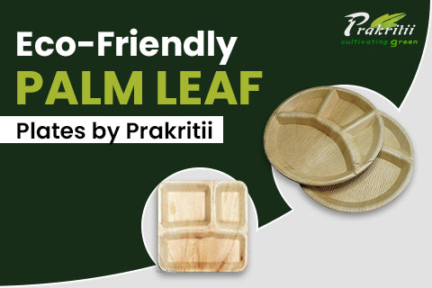 Eco-Friendly Palm Leaf Plates by Prakritii - Prakritii - Cultivating Green