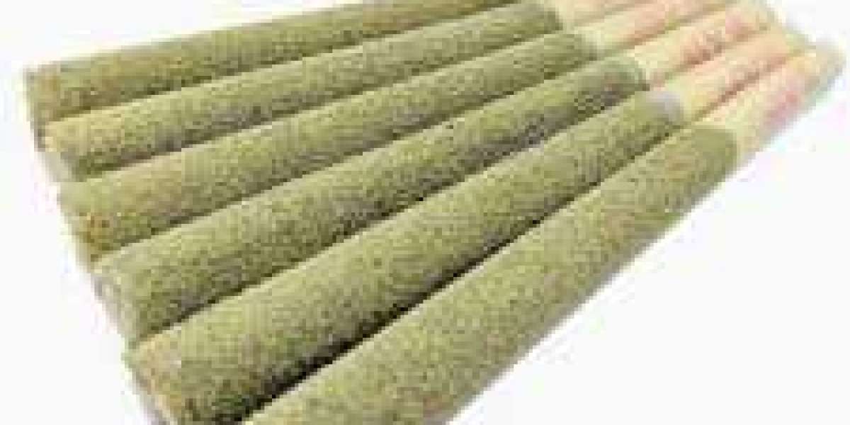 Exploring the Benefits and Popularity of THCA Pre Rolls