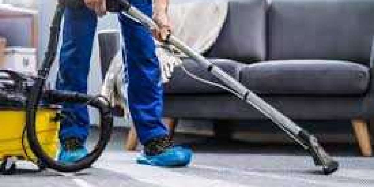 The Health and Comfort Benefits of Professional Carpet Cleaning