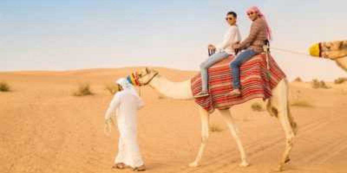 Desert Safari Abu Dhabi: An Unforgettable Adventure