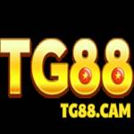 TG88 tg88cam Profile Picture