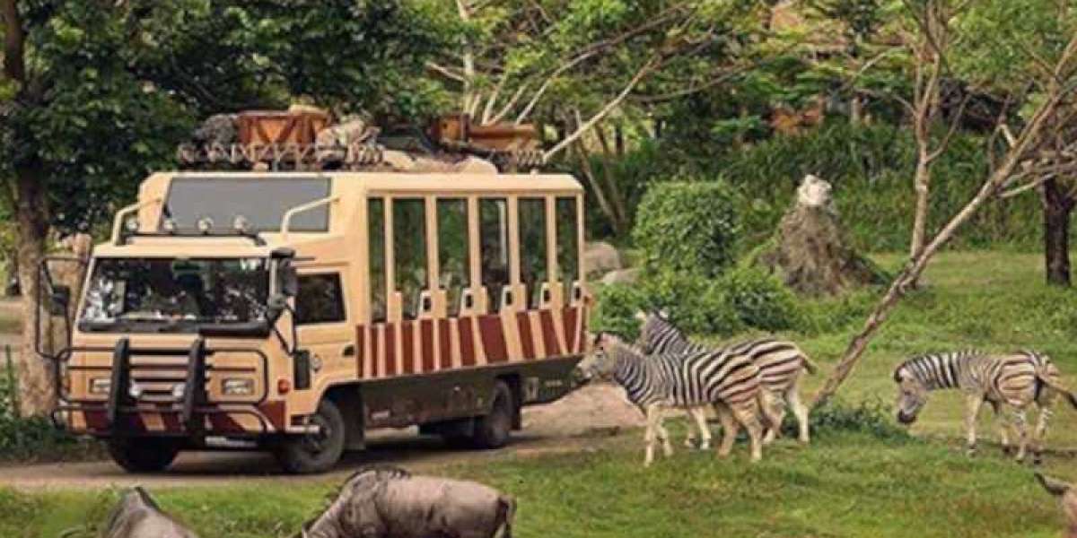 Dubai Safari Park: A Wildlife Haven in the Desert