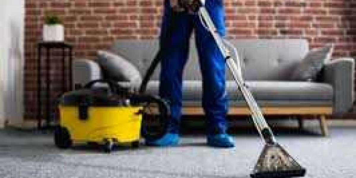 The Role of Carpet Cleaning in Creating a Healthier Home