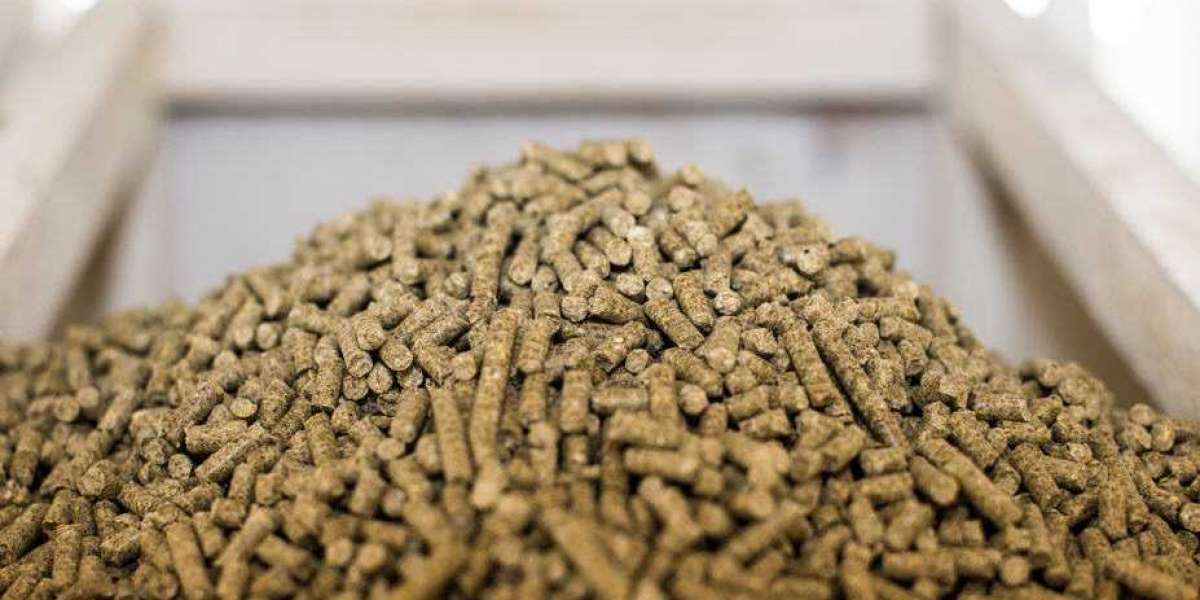 Compound Feed Market Analysis: Regional Insights and Growth Projections