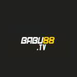 Babu88 Babu88 profile picture