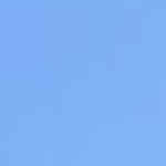 Akhila Gardas Profile Picture