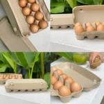 egg cartons in bulk egg cartons in bulk Profile Picture