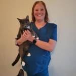 Boulevard Animal Hospital Profile Picture