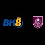 BK8 Cong Game Giải Trí Đỉnh Cao Profile Picture