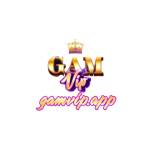 GAMVIP Profile Picture