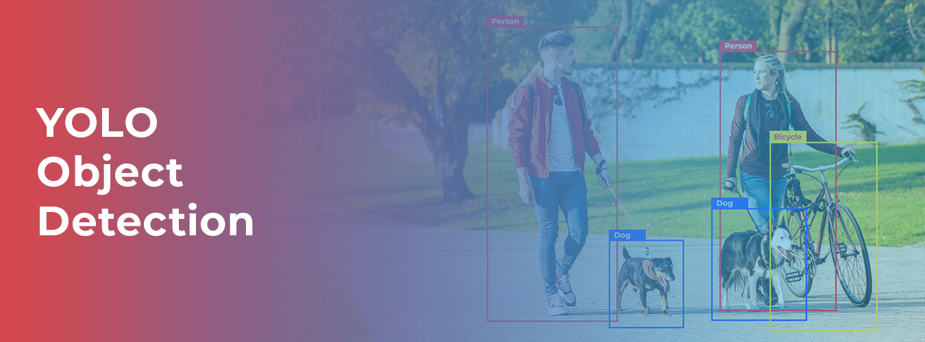 YOLO Object Detection Guide for AI Developers