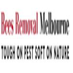 bees removal Profile Picture