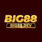 Cổng game Big88 profile picture