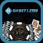 shbet1 cyou Profile Picture