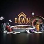 diuwin download Profile Picture