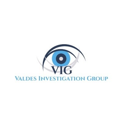 Valdes Investigation Group Profile Picture