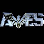 Avessecurity Managment system Profile Picture