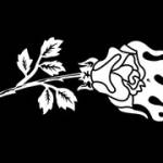 civilregimehoodie67 Profile Picture