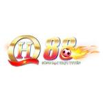 QH88 Profile Picture