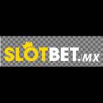 Slotbet Profile Picture
