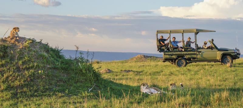 Safari Tours In Tanzania: A Journey into The Wild | APSense.com